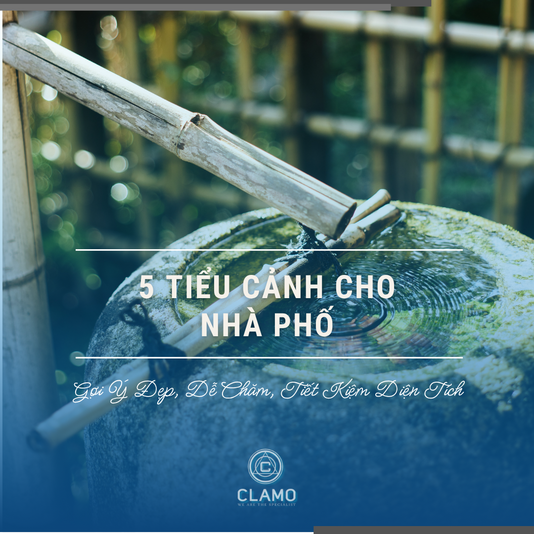 5 Tiểu Cảnh Cho Nhà Phố