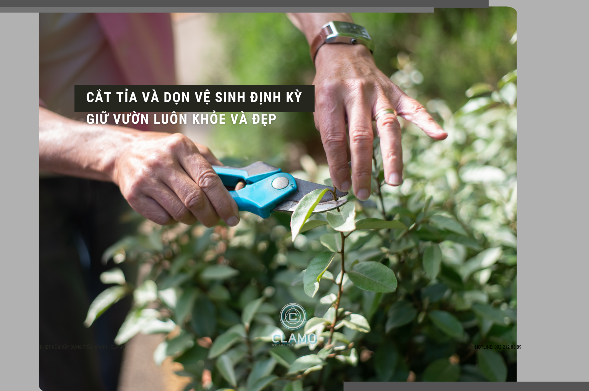 Chăm Sóc Sân Vườn Nhà Phố - Cắt Tỉa Và Dọn Vệ Sinh Định Kỳ