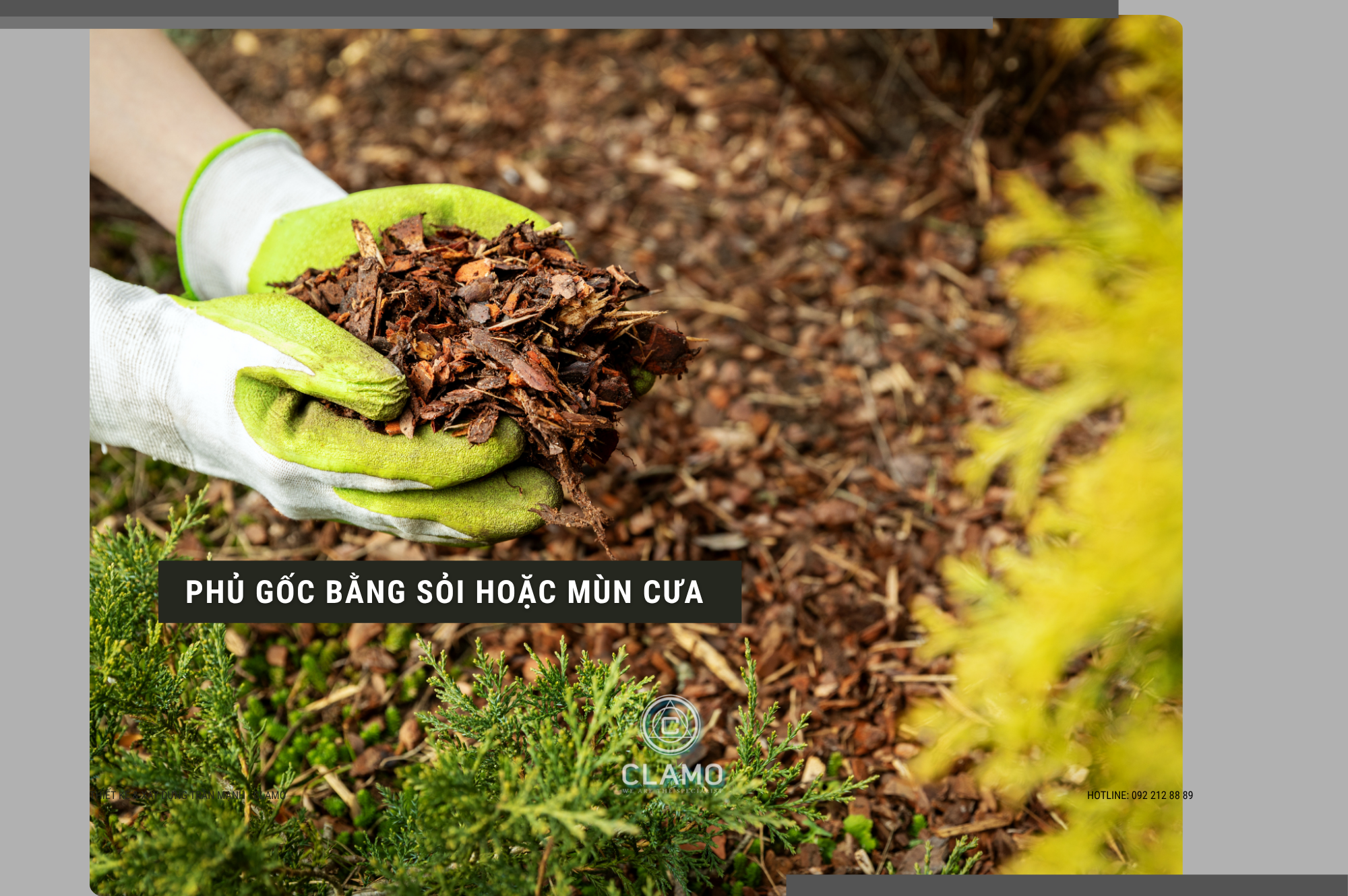 Chăm Sóc Sân Vườn Nhà Phố - Phủ Gốc Bằng Sỏi Hoặc Mùn Cưa