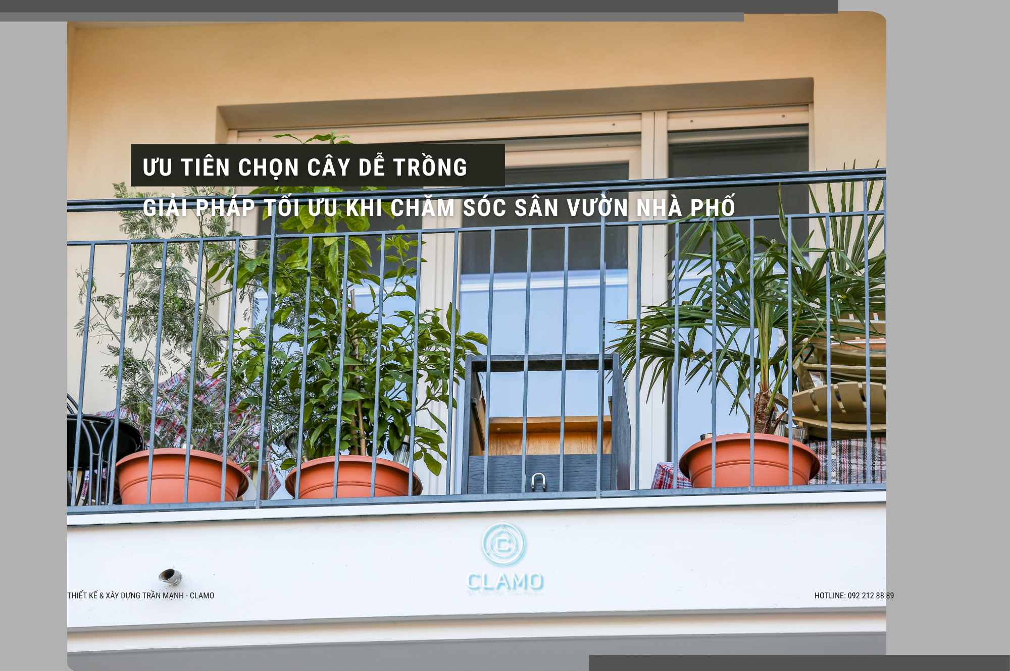 Ưu Tiên Chọn Cây Dễ Trồng Khi Chăm Sóc Sân Vườn Nhà Phố